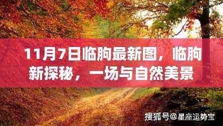 临朐秋日新探秘,与自然美景的邂逅时光(11月7日最新图片)