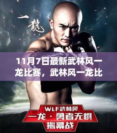 武林风一龙比赛全面解析与体验评测,11月7日最新赛事报道