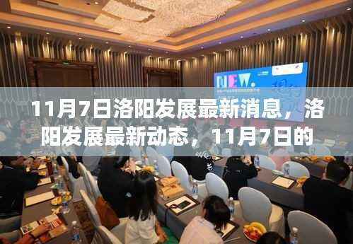 11月7日洛阳发展动态,机遇与挑战的最新消息