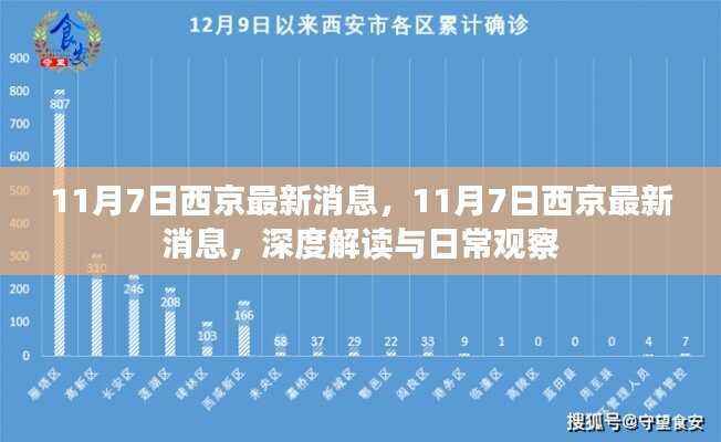 11月7日西京深度解读与日常观察,最新消息汇总