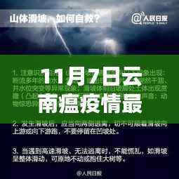 11月7日云南疫情最新消息详解,数据与评测介绍