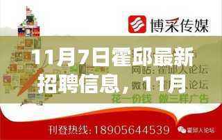 11月7日霍邱最新招聘信息及职场观察与个人立场分析