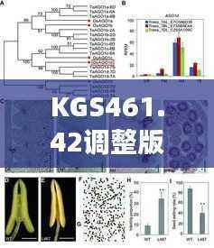 KGS461.42调整版精准跑狗图,最新研究解读