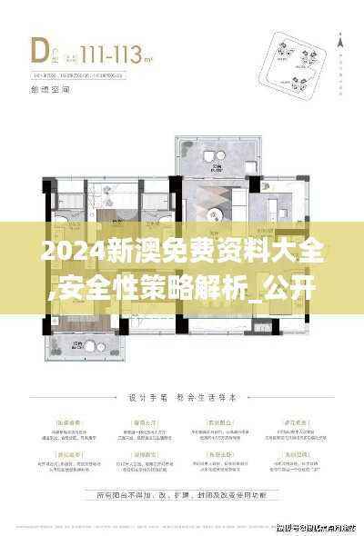 2024新澳免费资料大全,安全性策略解析_公开版BPQ71.81