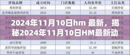 独家揭秘,HM在2024年11月10日的最新动态与时尚前沿深度解析