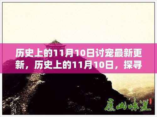 历史上的11月10日,探寻值得铭记的瞬间与最新讨宠更新