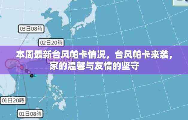 台风帕卡来袭,家的温馨与友情的坚守战