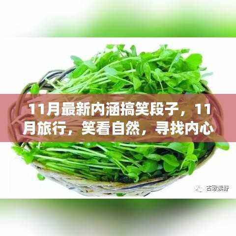 11月旅行笑谈录，内涵搞笑段子与心灵的宁静之旅