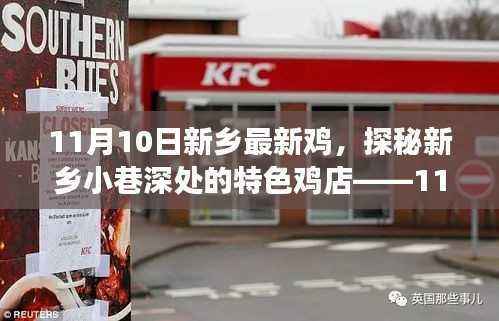 探秘新乡小巷特色鸡店,新鲜之旅(11月10日独家报道)