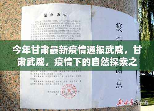 甘肃武威疫情下的自然探索之旅,寻找内心的宁静港湾