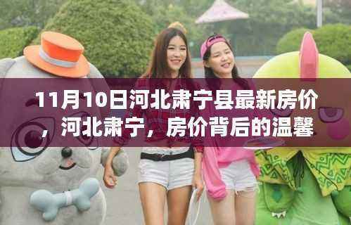 河北肃宁县房价背后的温馨故事,最新房价动态揭秘(11月10日)