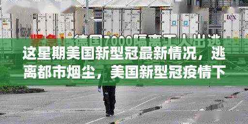美国新型冠疫情下的自然探索之旅,最新情况与逃离都市烟尘的体验
