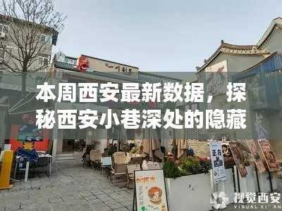 探秘西安小巷深处的隐藏瑰宝,最新特色小店大盘点本周西安数据揭秘