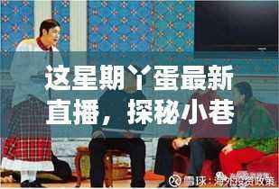 探秘小巷深处的直播新宠,丫蛋本周直播带你领略隐藏版特色小店风采