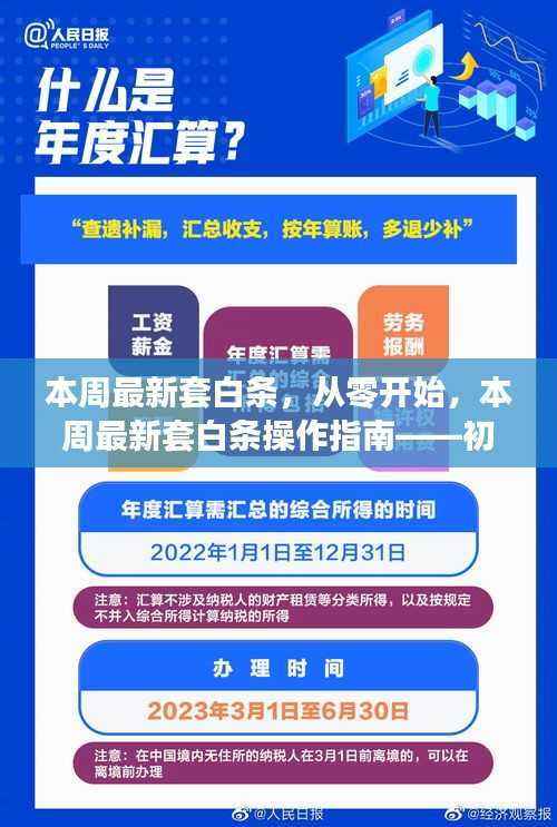 本周最新套白条操作指南,从入门到进阶的通用教程