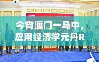 今宵澳门一马中,应用经济学元丹RVT783.5