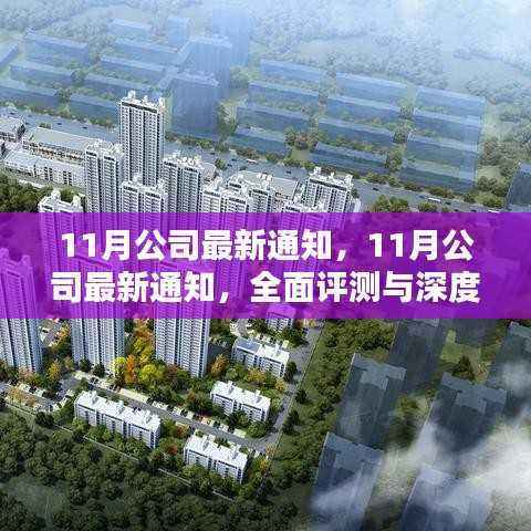 最新深度评测与全面介绍，公司十一月通知概览