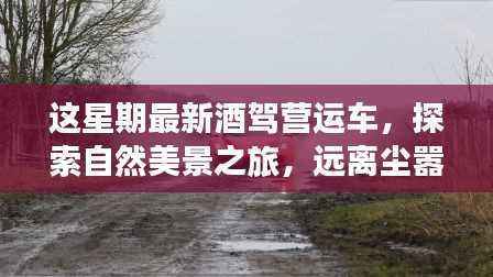 探索自然美景之旅,警惕酒驾,启程寻找内心平静之路