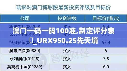 澳门一码一码100准,制定评分表_URX950.25先天境