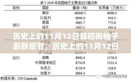 历史上的11月12日与慕昭衡柚子最新章节深度解析