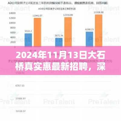 大石桥真实惠最新招聘深度解析,服务特性与用户体验(2024年11月13日)