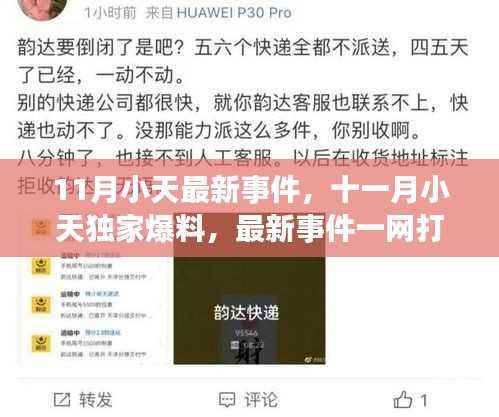 11月小天独家爆料大揭秘,最新事件一网打尽