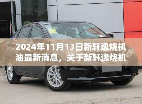 新轩逸烧机油问题解析与应对指南,最新消息及解决方案(2024版)