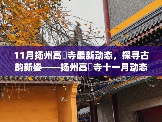 扬州高昮寺十一月动态观察,古韵新姿探寻记