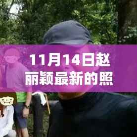 赵丽颖最新照片曝光,11月14日的璀璨瞬间风采展露无遗