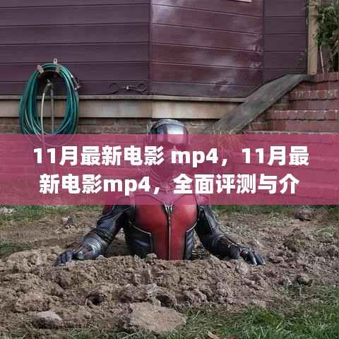 最新电影mp4全面评测与介绍,11月不容错过的影视盛宴