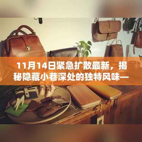 揭秘隐藏小巷深处的神秘小吃店,独特风味紧急曝光