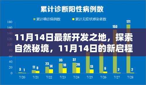 11月14日新启程,探索自然秘境,寻找内心宁静与平和之旅