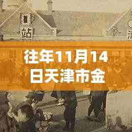往年11月14日天津市金子价格回顾与趋势分析,最新价格及展望