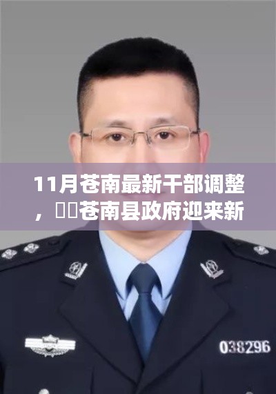 苍南县政府人事大调整,十一月干部变动一览表