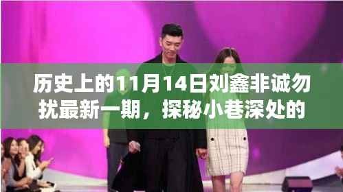 历史中的刘鑫非诚勿扰新篇章,探秘小巷深处的独特小店