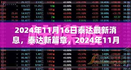 泰达最新动态,2024年11月16日的新篇章与温馨日常