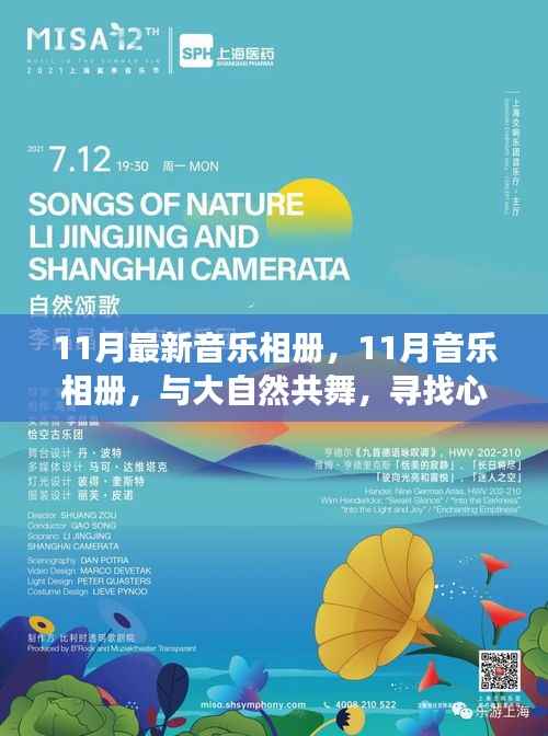 11月音乐相册,与自然共舞的心灵宁静之旅