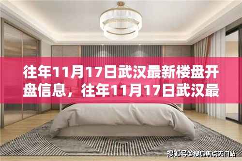 武汉历年11月17日最新楼盘开盘信息深度解析及解析报告