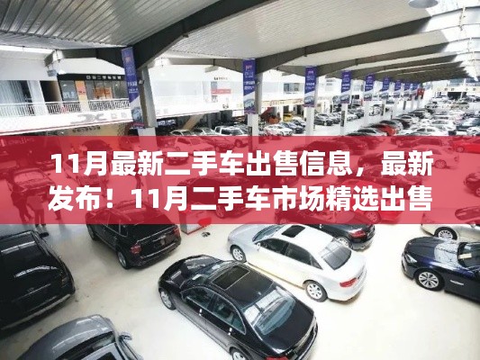 11月二手车市场精选出售信息概览,最新发布与精选车辆一览