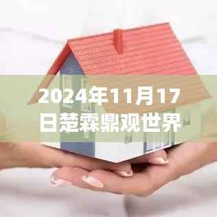 楚霖鼎观世界深度洞察,最新动态与趋势分析(2024年11月)