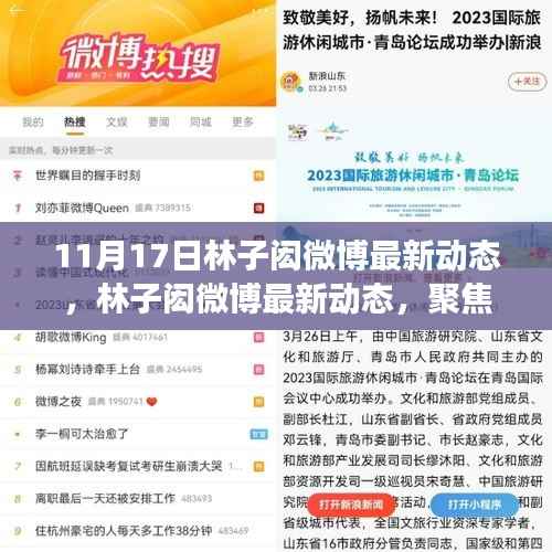 林子闳最新微博动态,背后的故事与时代影响揭秘