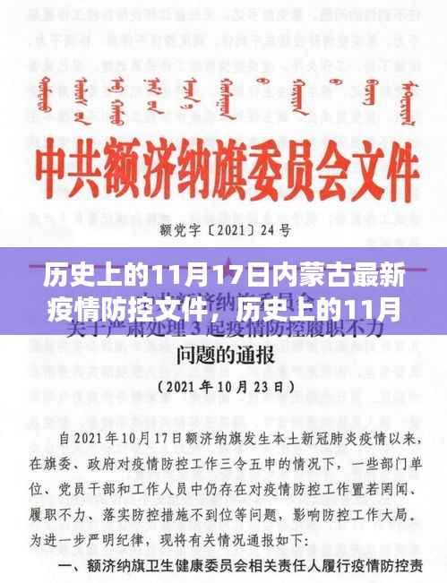 内蒙古疫情防控文件解读与操作指南,历史上的11月17日疫情防控文件深度解析与操作指引