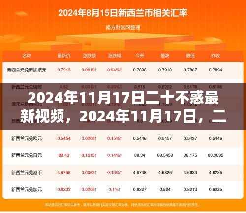 二十不惑最新视频解析与探讨,2024年11月17日更新内容揭秘