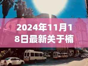 探秘楠玉财富小巷,一场不期而遇的味蕾盛宴(最新新闻更新)