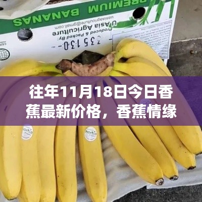 往年11月18日香蕉情缘,秋日价格探秘与甜蜜友情的日常
