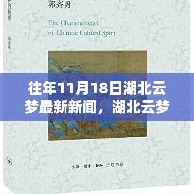湖北云梦地区往年11月18日新闻深度评测与最新资讯概览
