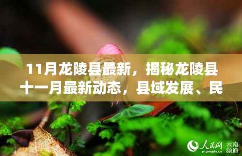 揭秘龙陵县十一月最新动态,县域发展、民生与环境优化进展报告