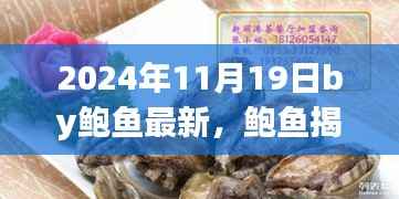 鲍鱼揭秘,未来日期2024年11月19日的三大要点深度解析
