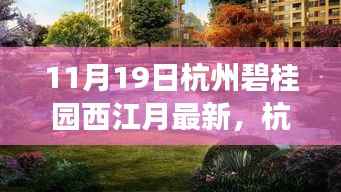 杭州碧桂园西江月最新科技盛宴,高科技产品的革新之旅