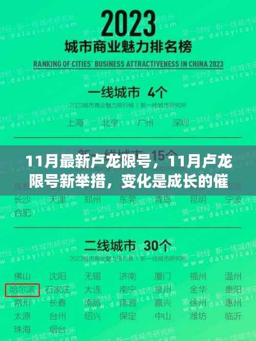 11月卢龙限号新变化,成长催化剂助力自信与成就探寻之路